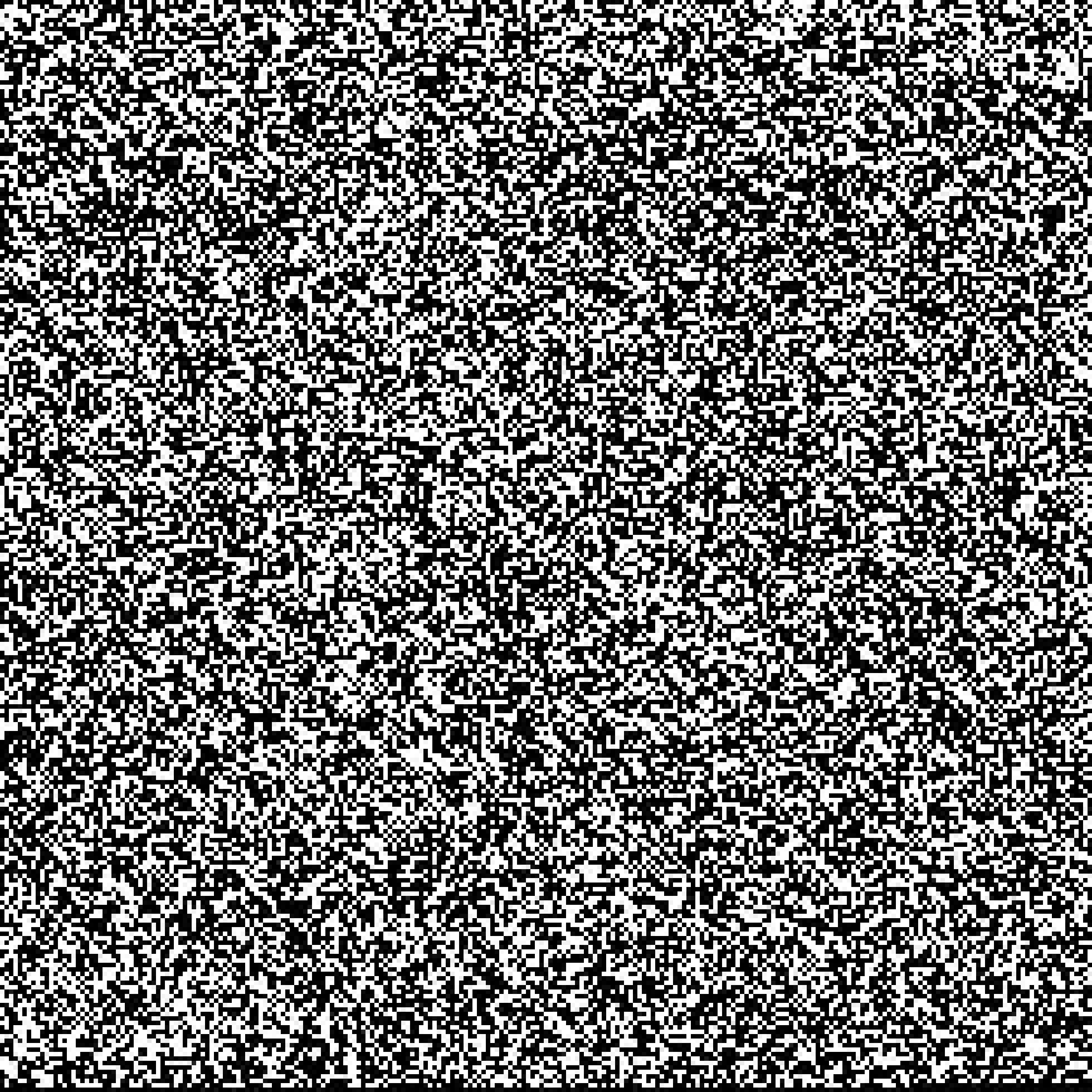 a square of seemling random black and white pixels, representing the genetic sequence of the SARS-CoV-2 virus